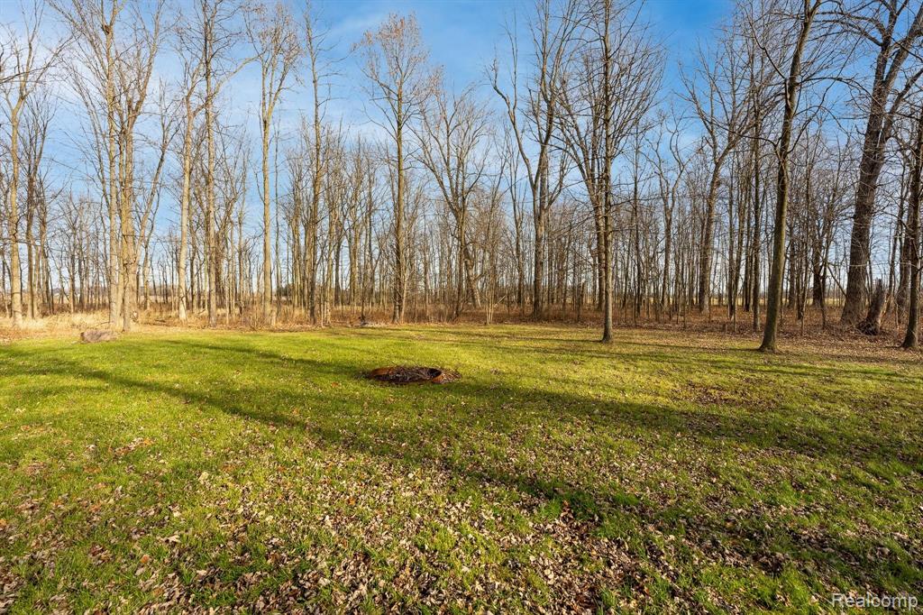 3500 Martin Road Capac, MI 48014 - Photo 25 of 30