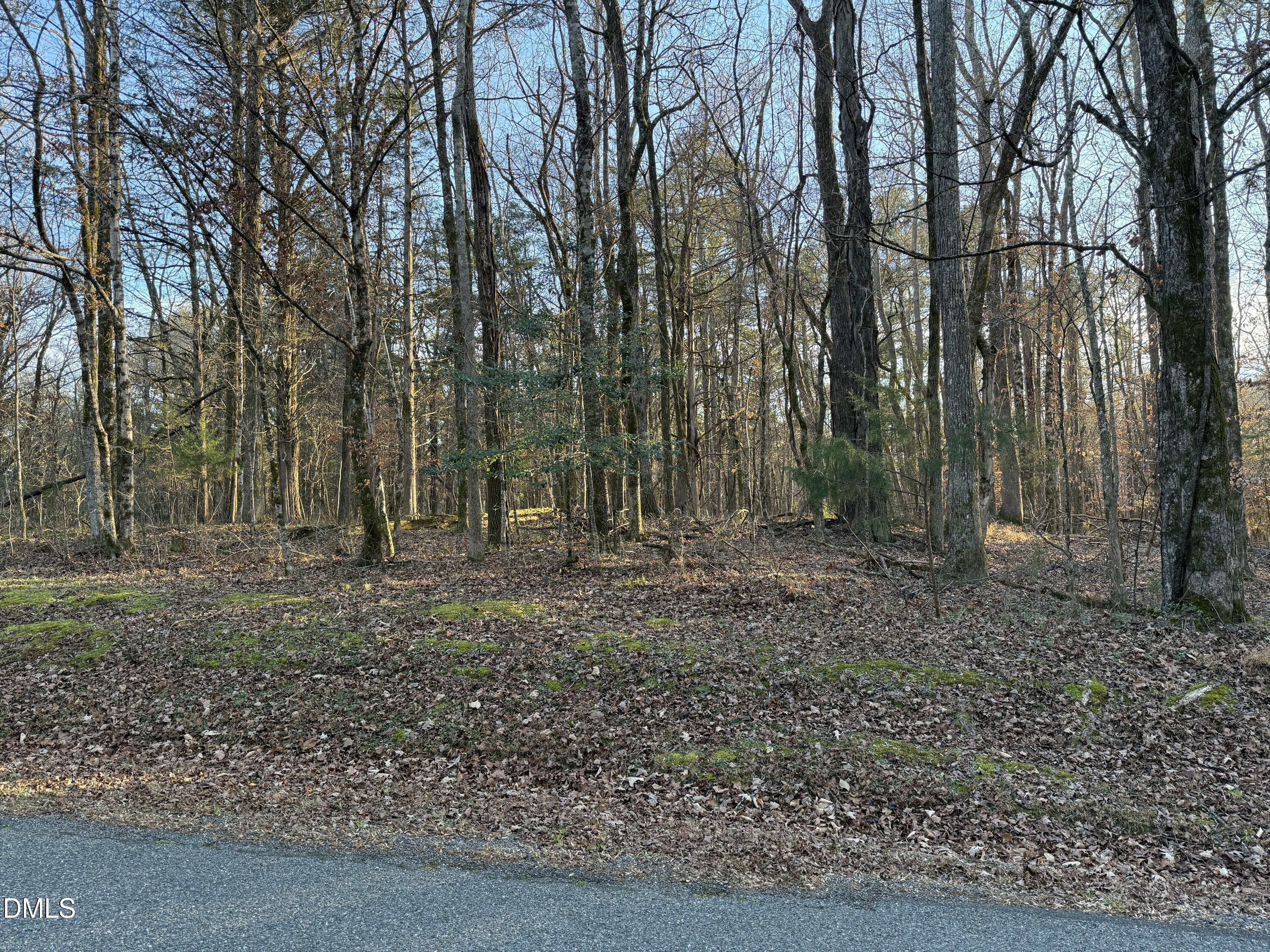 0 Woodland Road Littleton, NC 27850 - Photo 5 of 11 a view of outdoor space with trees
