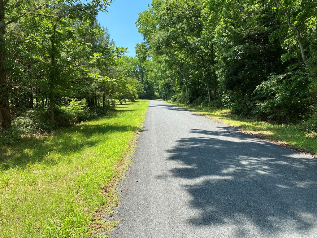 Lot 5 Narrow Channel Branch Road, Unit 5 Cape Charles, VA 23310 - Photo 3 of 6