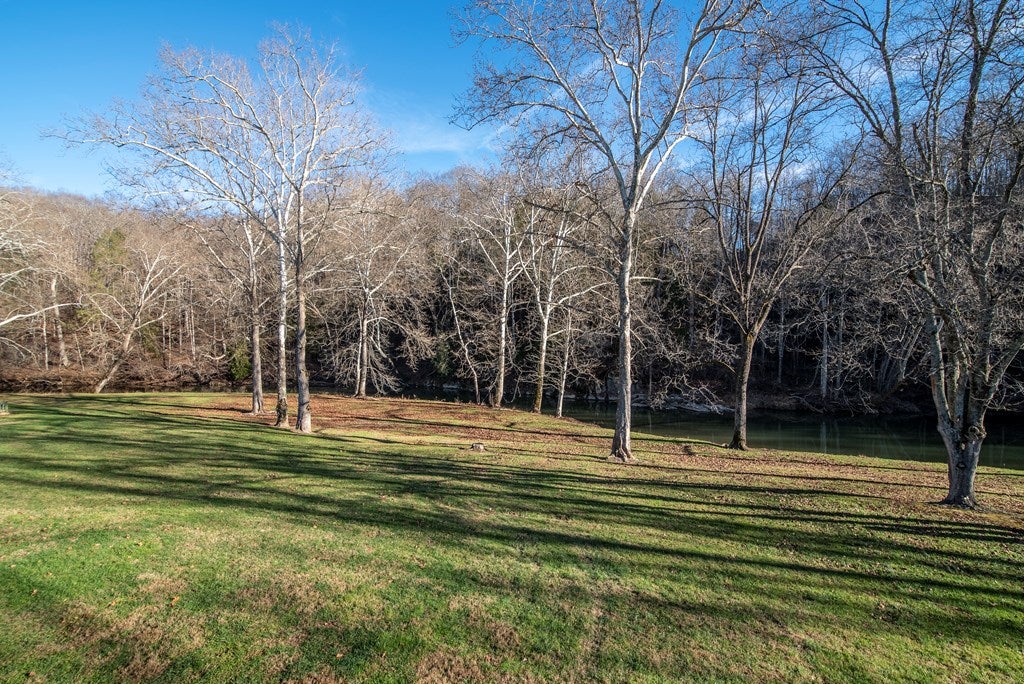 819 Fox Valley Road Marion, VA 24354 - Photo 59 of 60 Gallery Image 59