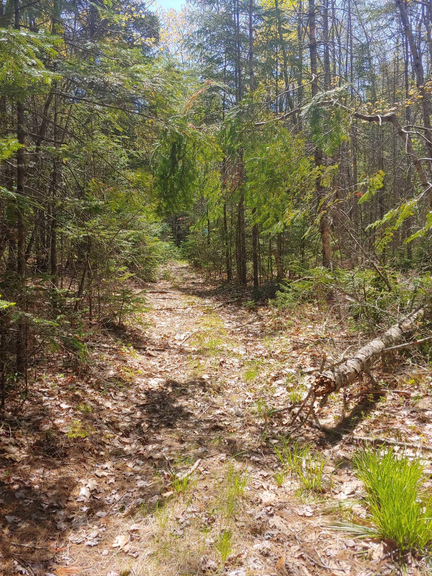 0 Colby Road Westport Island, ME 04578 - Photo 5 of 7 0515211225_HDR