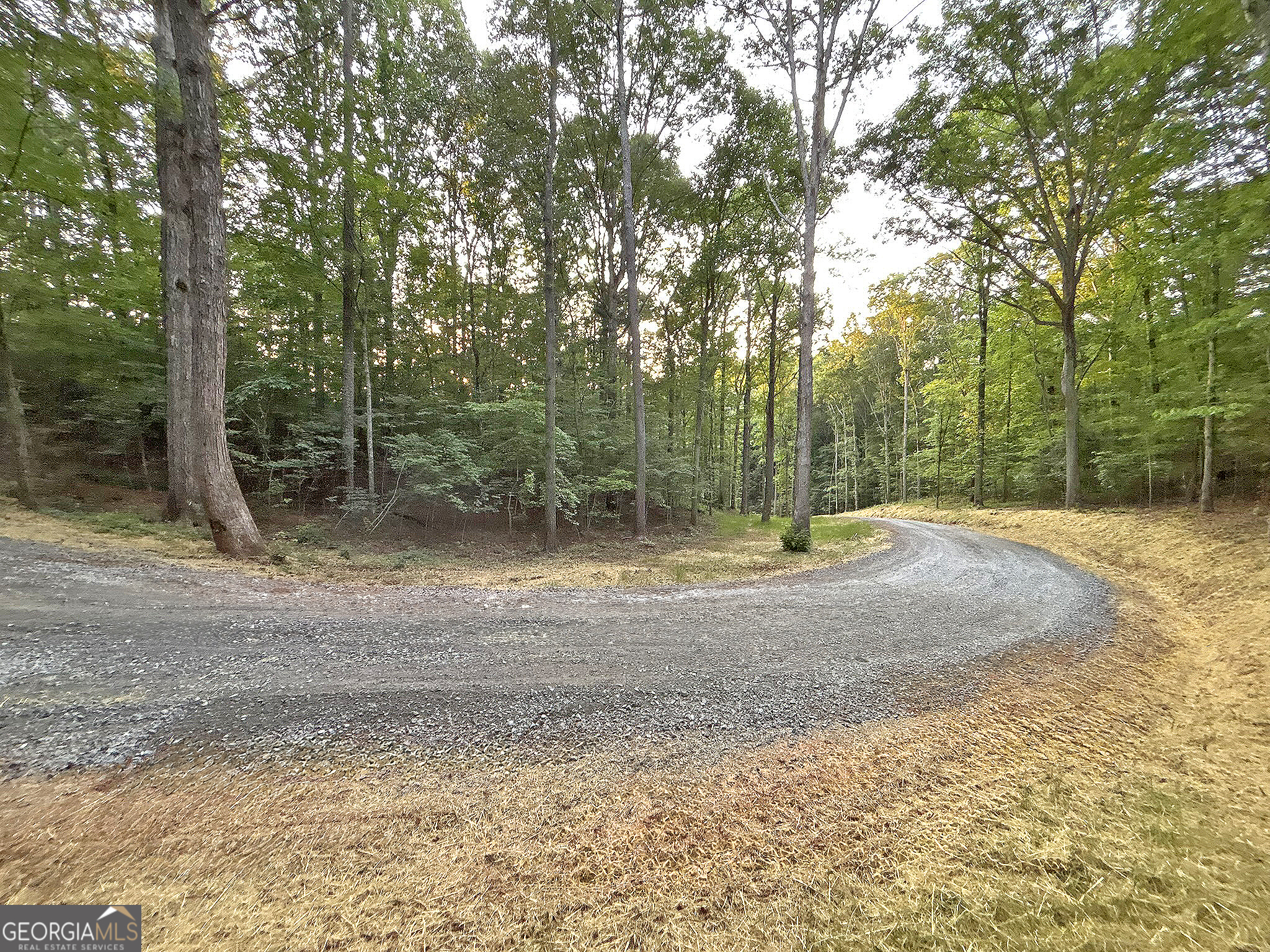 Lot 18 Mt Springer Road Ellijay, GA 30540 - Photo 24 of 31