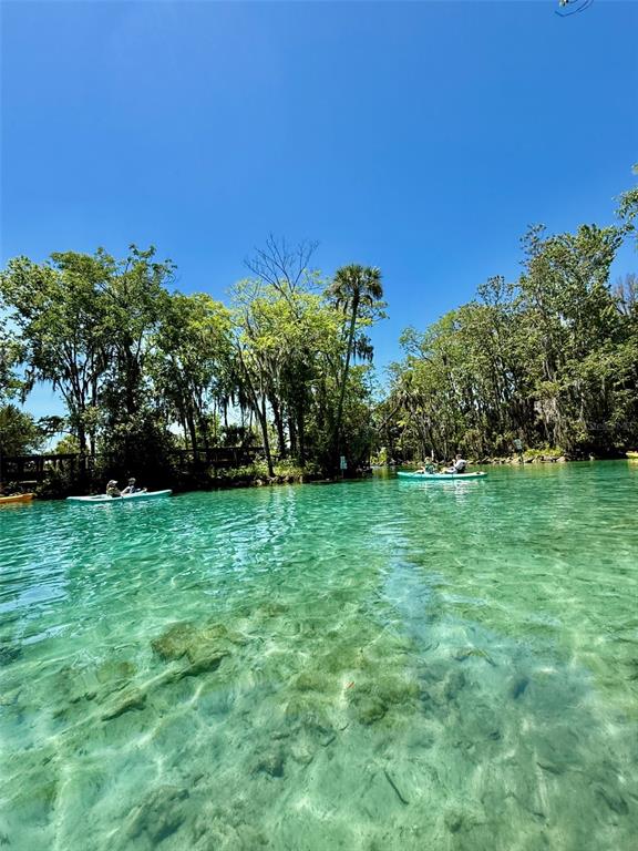 19439 Southwest 101st Place Road Dunnellon, FL 34432 - Photo 48 of 48 Gallery Image 48