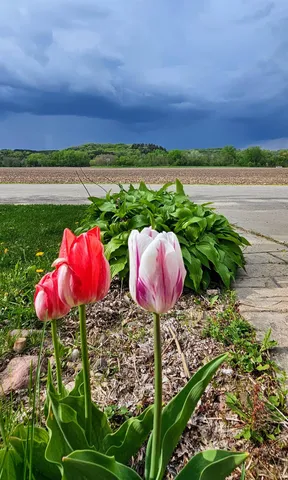 $295,000 | W3959 North Street, Mindoro, WI 54644