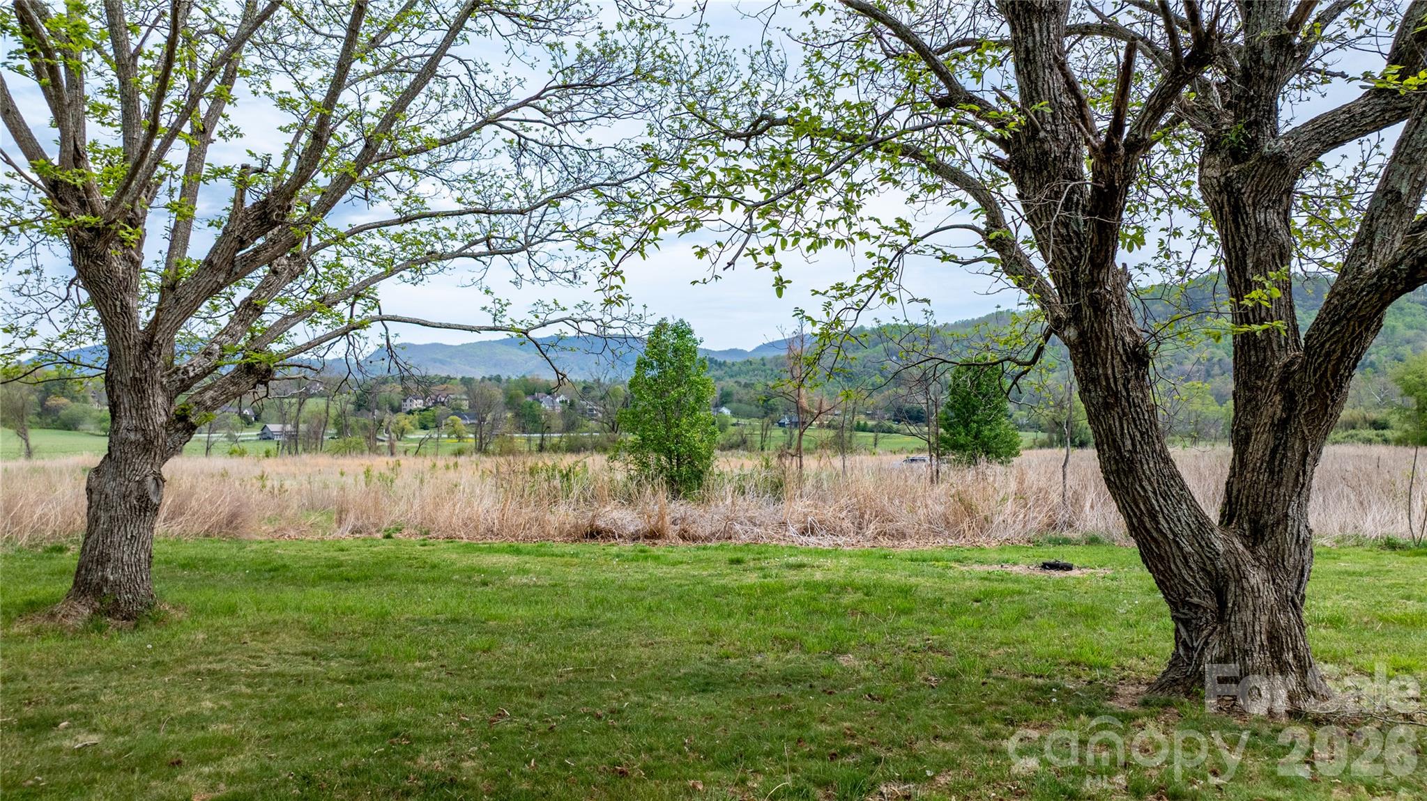 1720 Cane Creek Road Fletcher, NC 28732 - Photo 12 of 20