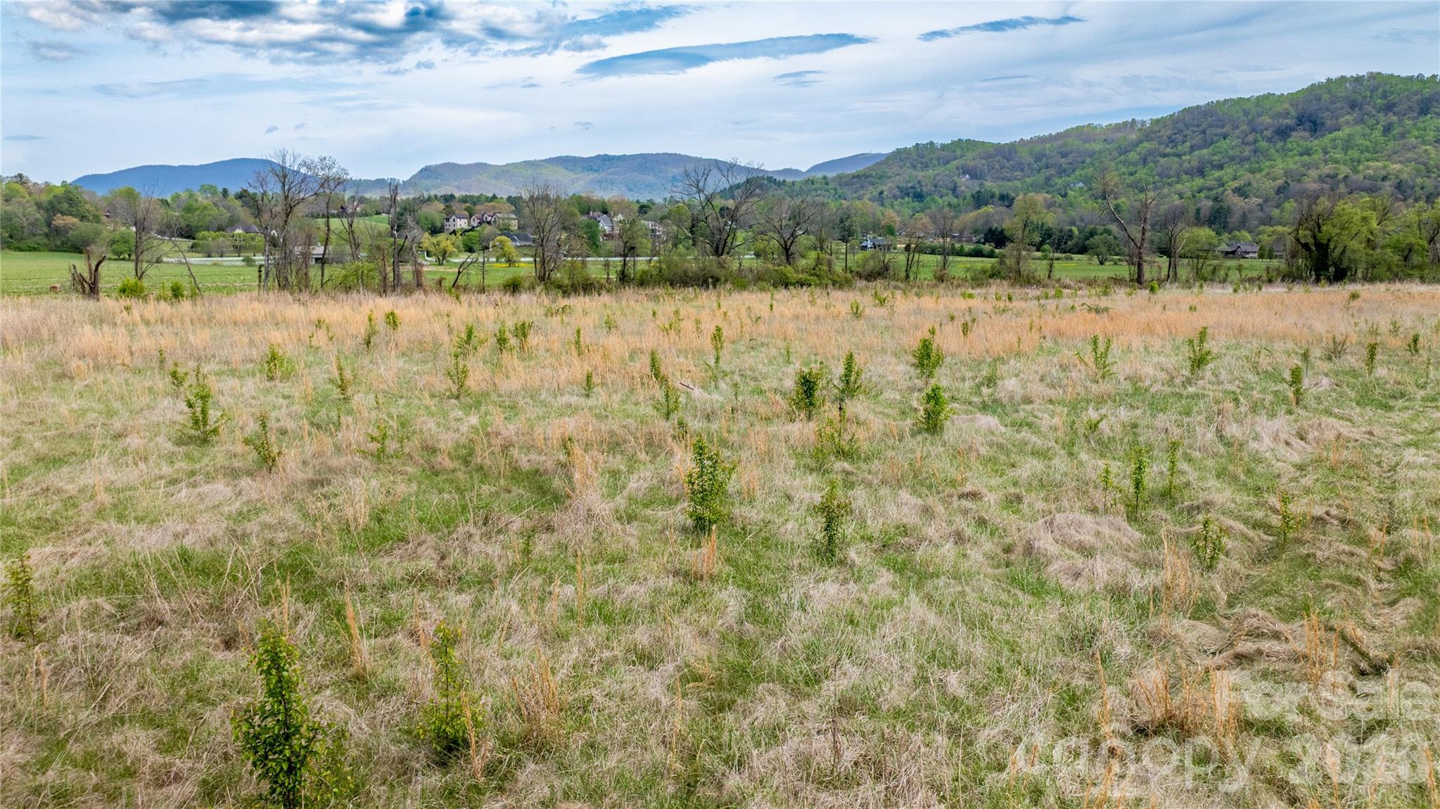 1720 Cane Creek Road Fletcher, NC 28732 - Photo 13 of 20 a view of lake and mountain
