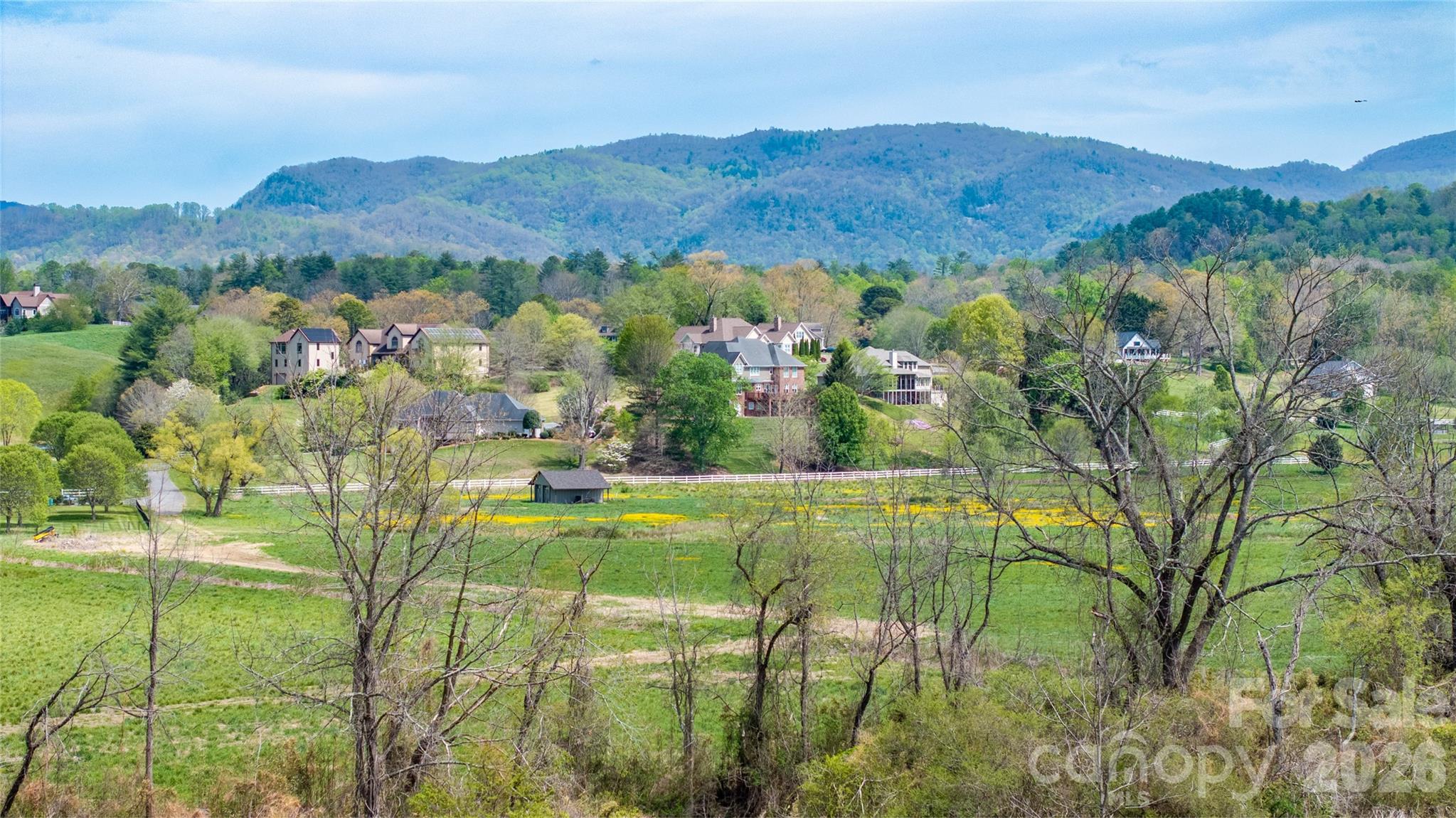 1720 Cane Creek Road Fletcher, NC 28732 - Photo 15 of 20 a view of a lush green hillside and houses