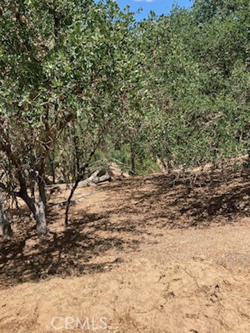 2668 Pine Ridge Road Bradley, CA 93426 - Photo 2 of 12 a view of a yard with a tree