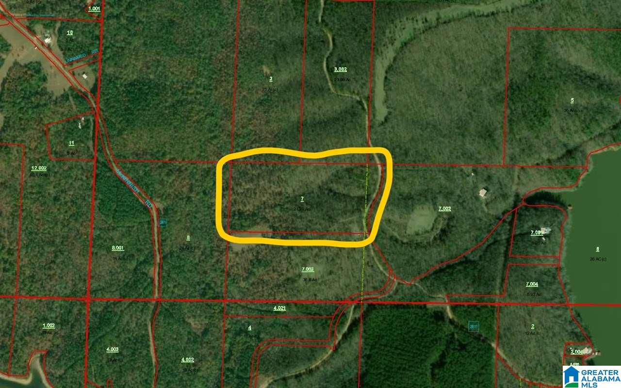 1 County Road 2811 Lineville, AL 36266 - Photo 8 of 8