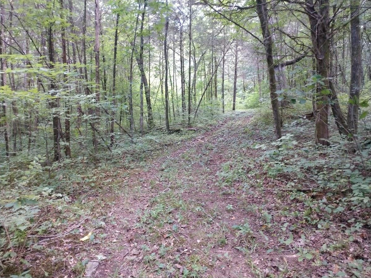 2366 Tracy Road Watertown, TN 37184 - Photo 14 of 25 a view of outdoor space and green space