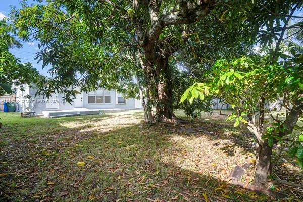 a view of a tree with a yard