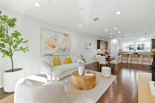 a living room with furniture and a potted plant