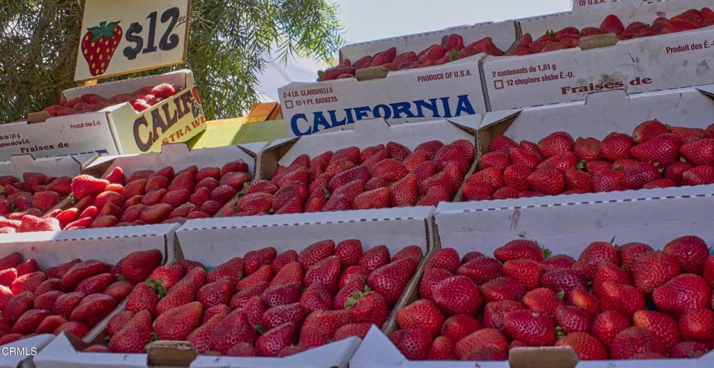 2630 Raft Lane Oxnard, CA 93035 - Photo 29 of 31 Strawberries