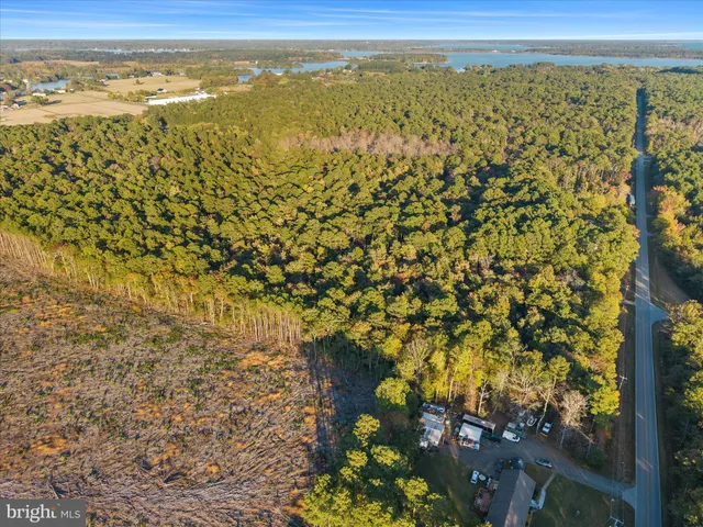 a view of a yard with wooden fence