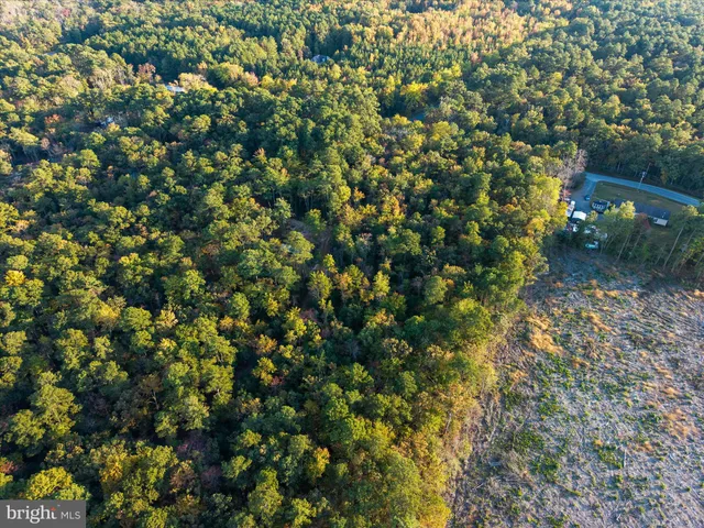 a view of outdoor space with trees