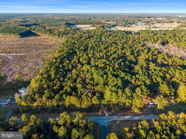 $38,000 | Hatchet Thicket Rd Avenue, Avenue, MD 20609