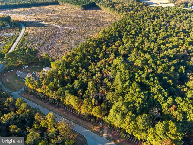 a view of a bunch of flowers