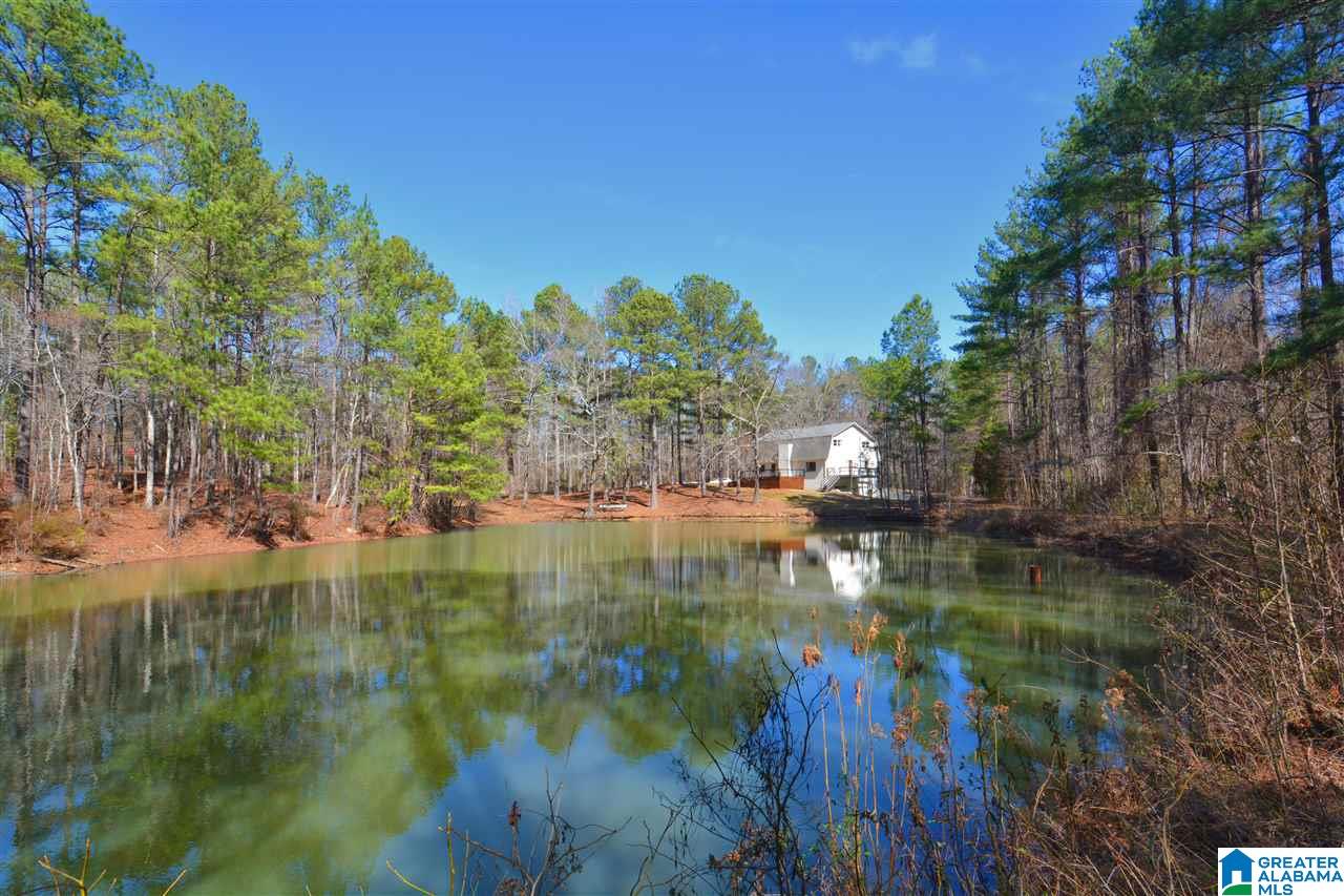 132 Holiday Lane Chelsea, AL 35043 - Photo 41 of 50