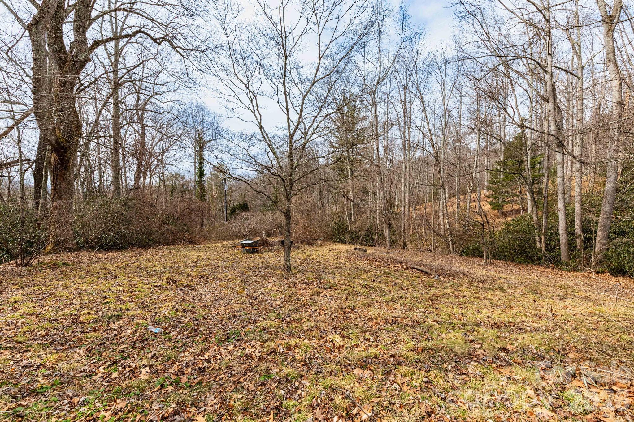 341 Sugar Hollow Road Fairview, NC 28730 - Photo 19 of 24 a backyard of a house with trees