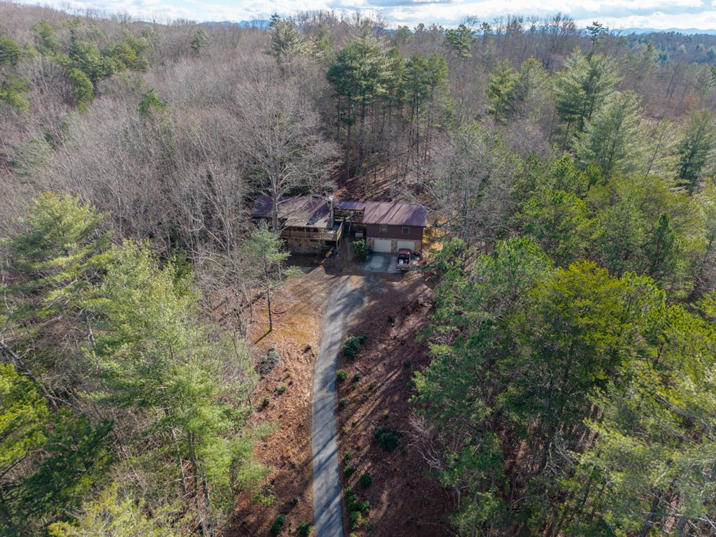 300 Sandy Gap Road Murphy, NC 28906 - Photo 8 of 47