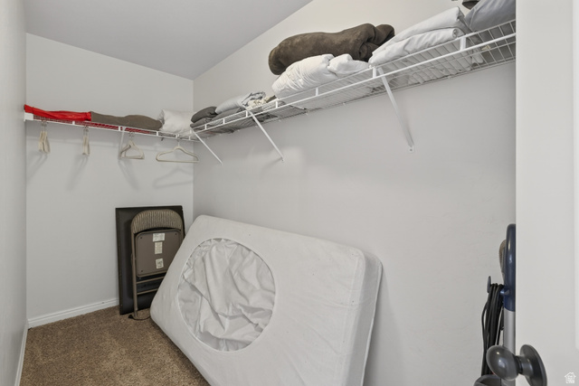 2511 Redcliff Road, Unit 3A Moab, UT 84532 - Photo 14 of 24 Walk in closet with carpet flooring