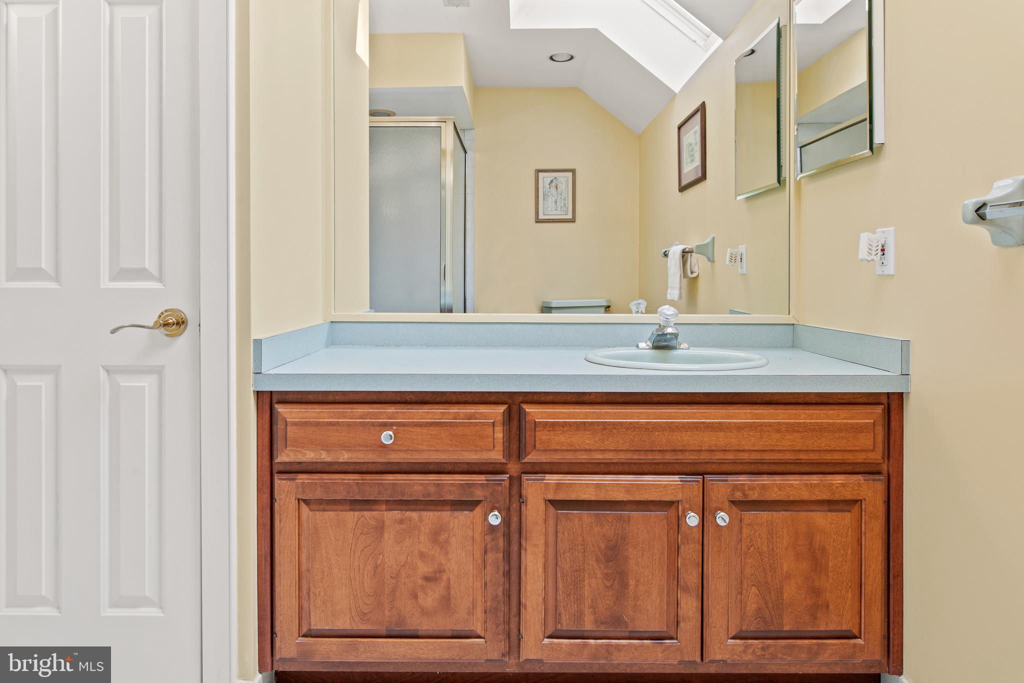 904 Evans Road Ambler, PA 19002 - Photo 44 of 69 Bath has skylight, shower, vanity, & linen closet
