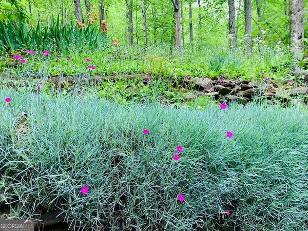 a backyard of a house