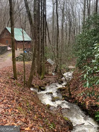a view of a lush green forest