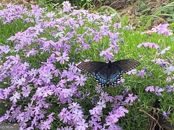 a view of outdoor space