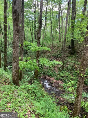 a view of backyard with green space