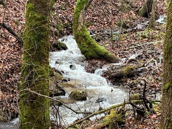 a view of a garden with a bench