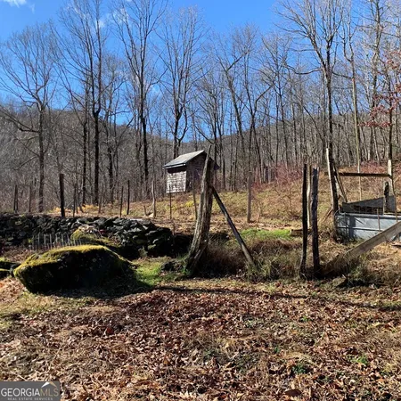a backyard of a house with lots of trees