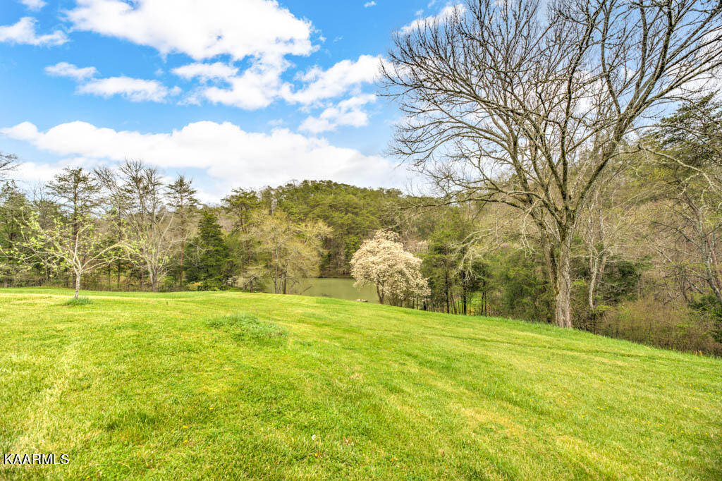 679 Indian Gap Road Andersonville, TN 37705 - Photo 21 of 40 220413IndnGp.7