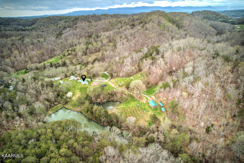 679 Indian Gap Road Andersonville, TN 37705 - Photo 36 of 40 220413IndnGp.9-6-Edit