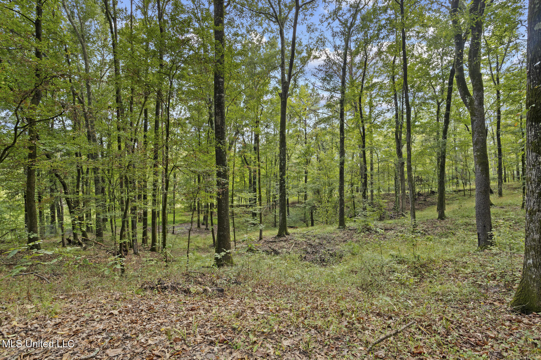 3820 Farr Road Edwards, MS 39066 - Photo 4 of 21 3820 Farr Rd-19