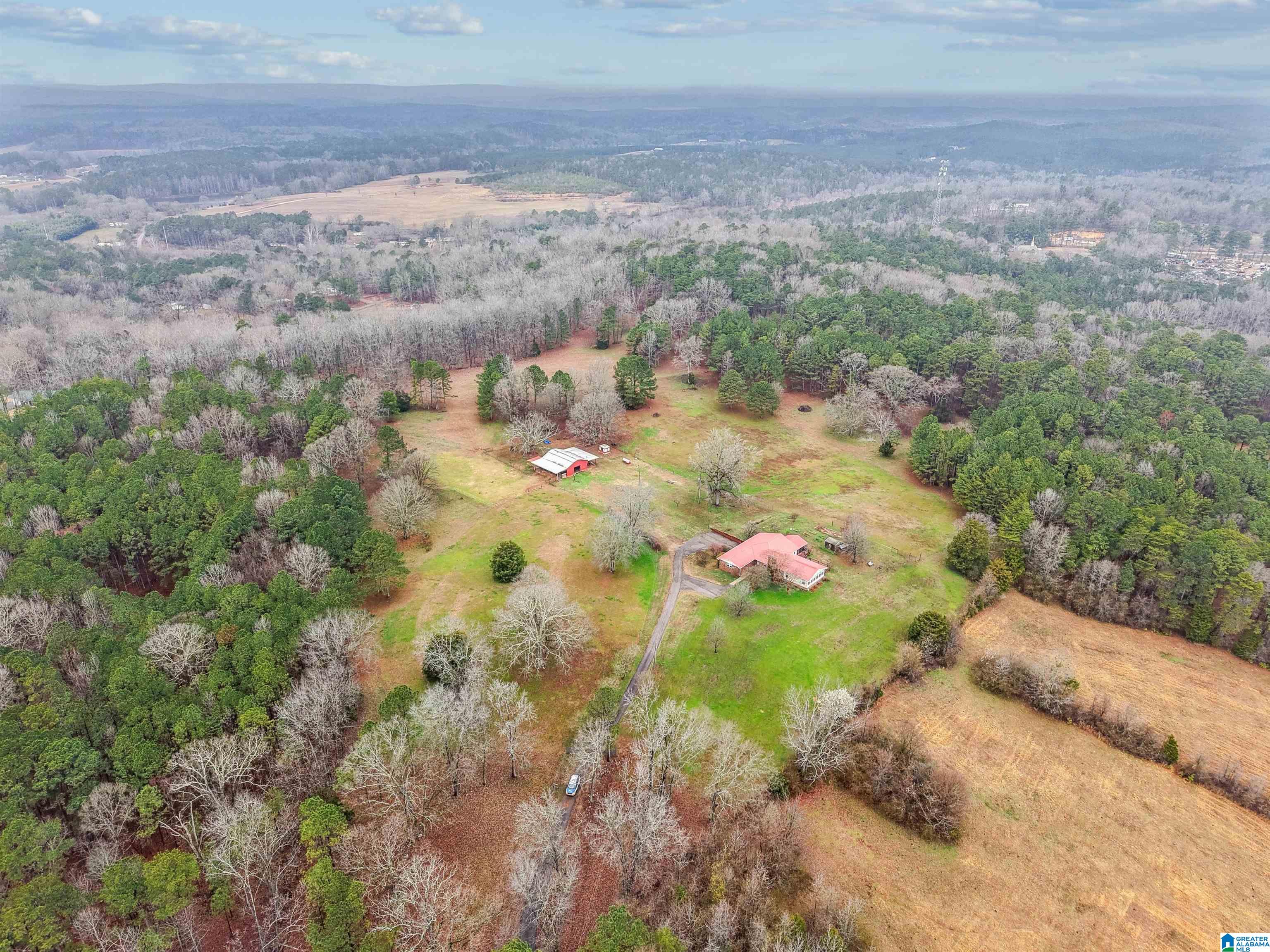 3953 Logan Martin Dam Road Cropwell, AL 35054 - Photo 55 of 99