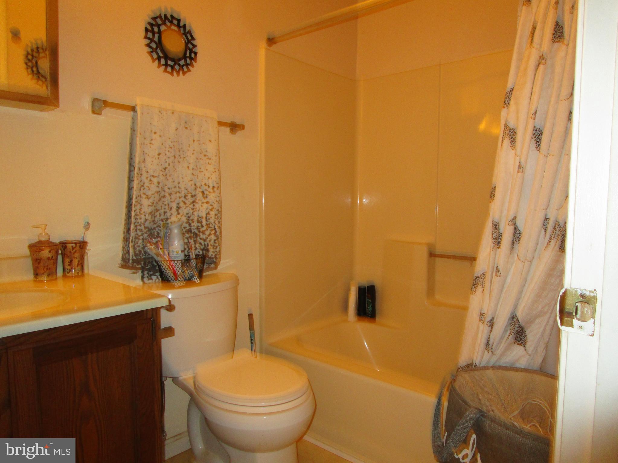 181 Evergreen Road Magnolia, DE 19962 - Photo 28 of 40 Hallway Bathroom