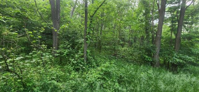 L7 Oakleaf Lane Wisconsin Dells, WI 53965 - Photo 5 of 5