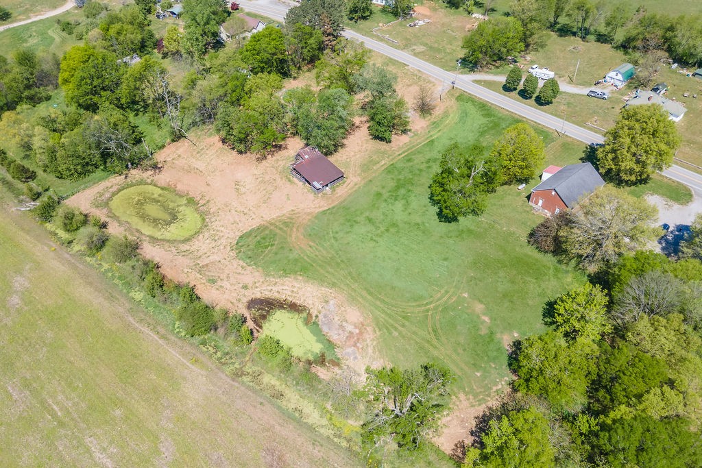 3938 Ostella Road Cornersville, TN 37047 - Photo 16 of 17 a view of a bunch of flowers in a garden