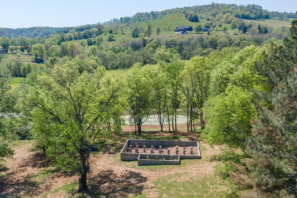 3938 Ostella Road Cornersville, TN 37047 - Photo 17 of 17 a green field with lots of trees in the background