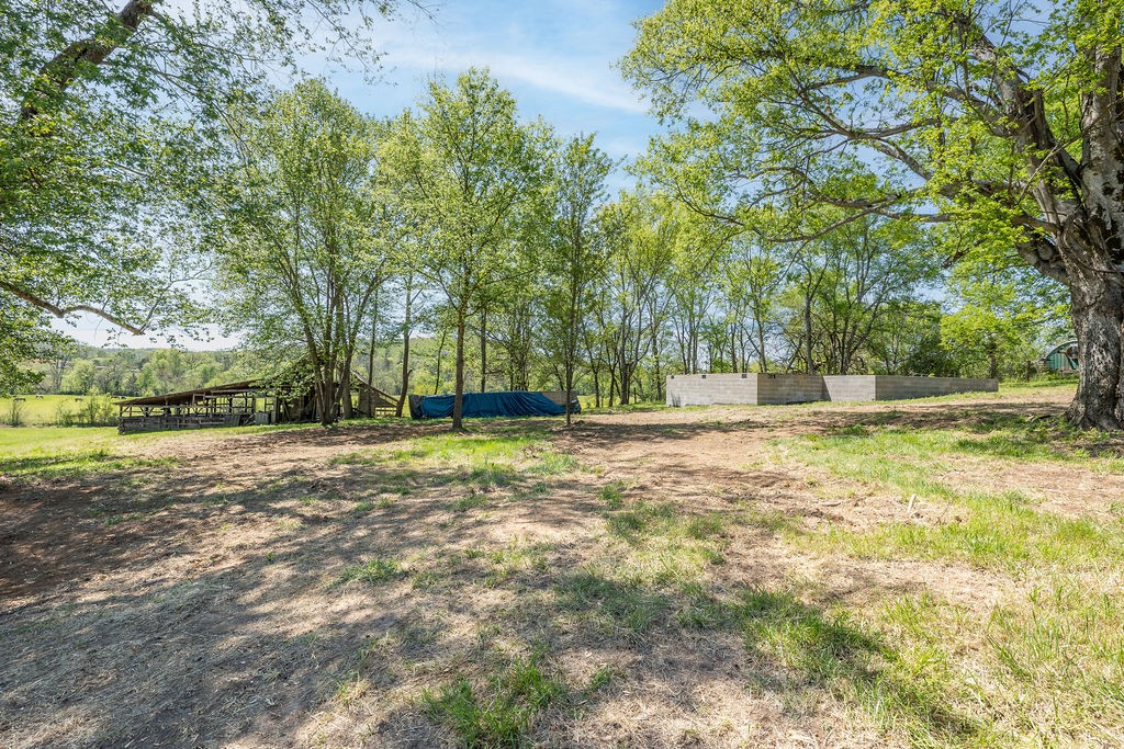 3938 Ostella Road Cornersville, TN 37047 - Photo 2 of 17 a view of outdoor space with trees