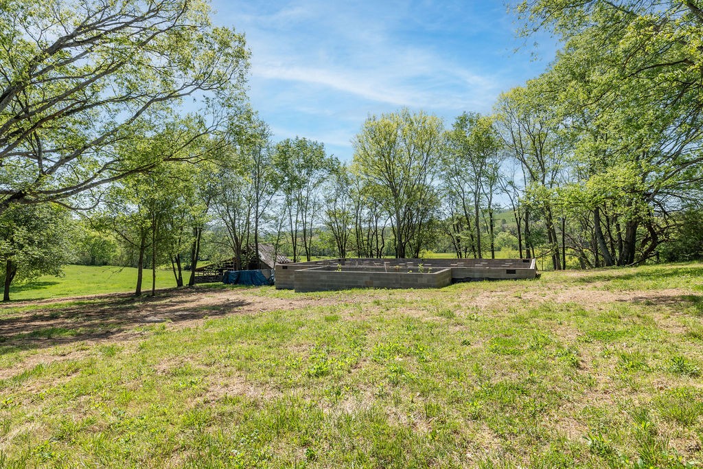 3938 Ostella Road Cornersville, TN 37047 - Photo 3 of 17 a view of a yard with a house