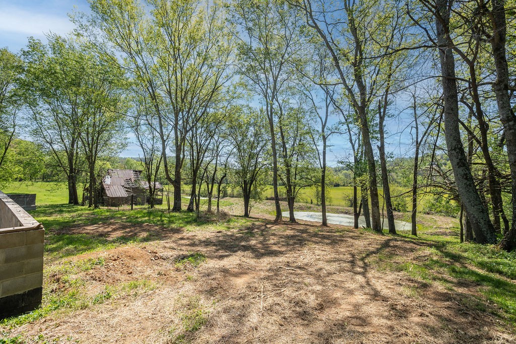 3938 Ostella Road Cornersville, TN 37047 - Photo 5 of 17 a view of a yard with a tree