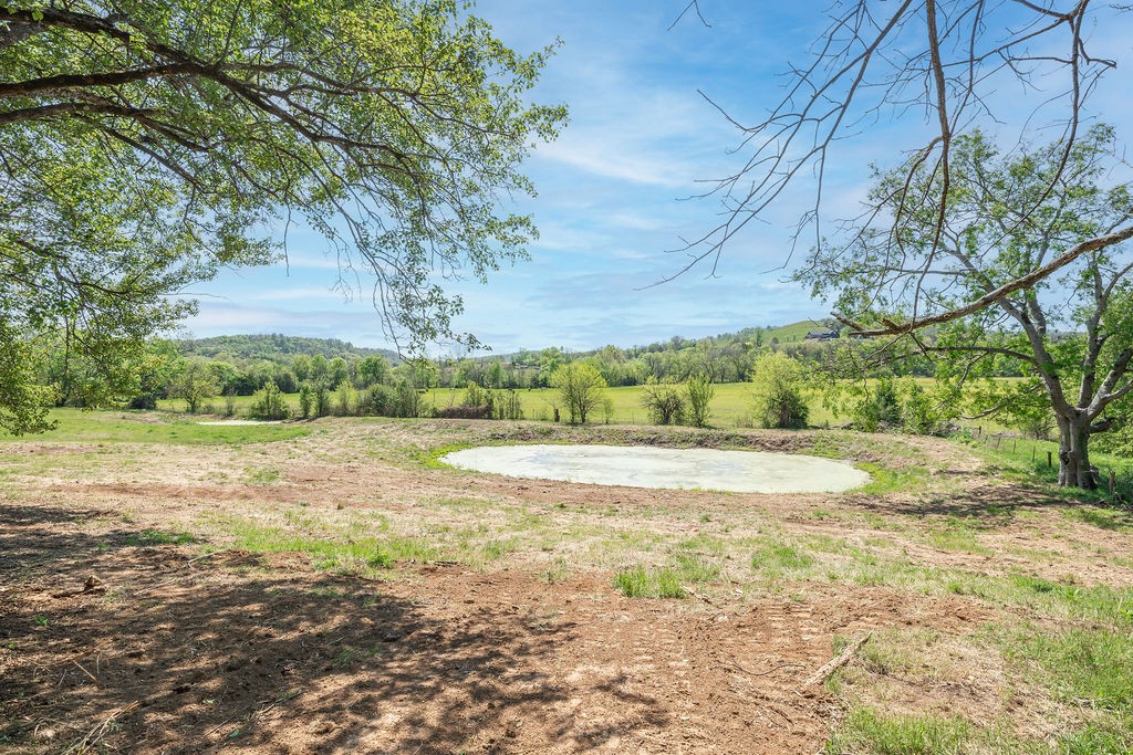 3938 Ostella Road Cornersville, TN 37047 - Photo 7 of 17 a view of a yard with an trees