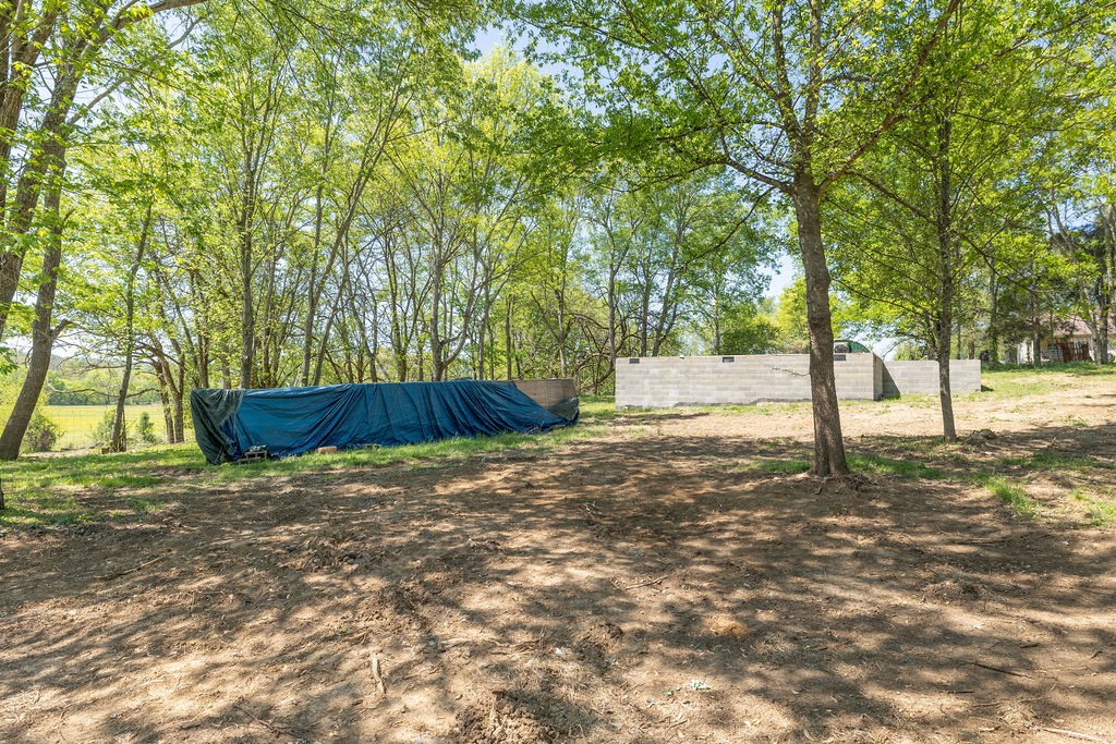 3938 Ostella Road Cornersville, TN 37047 - Photo 10 of 17 a backyard of a house with a trees