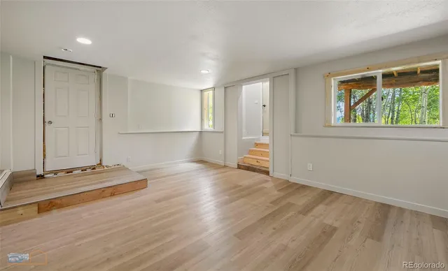 a picture of flowers