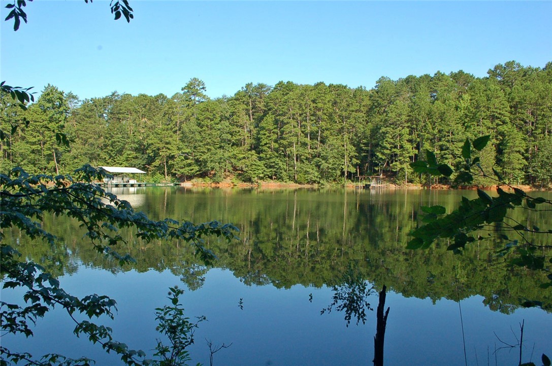 Lot 20 North Shores Road Westminster, SC 29693 - Photo 2 of 8 Gallery Image 2