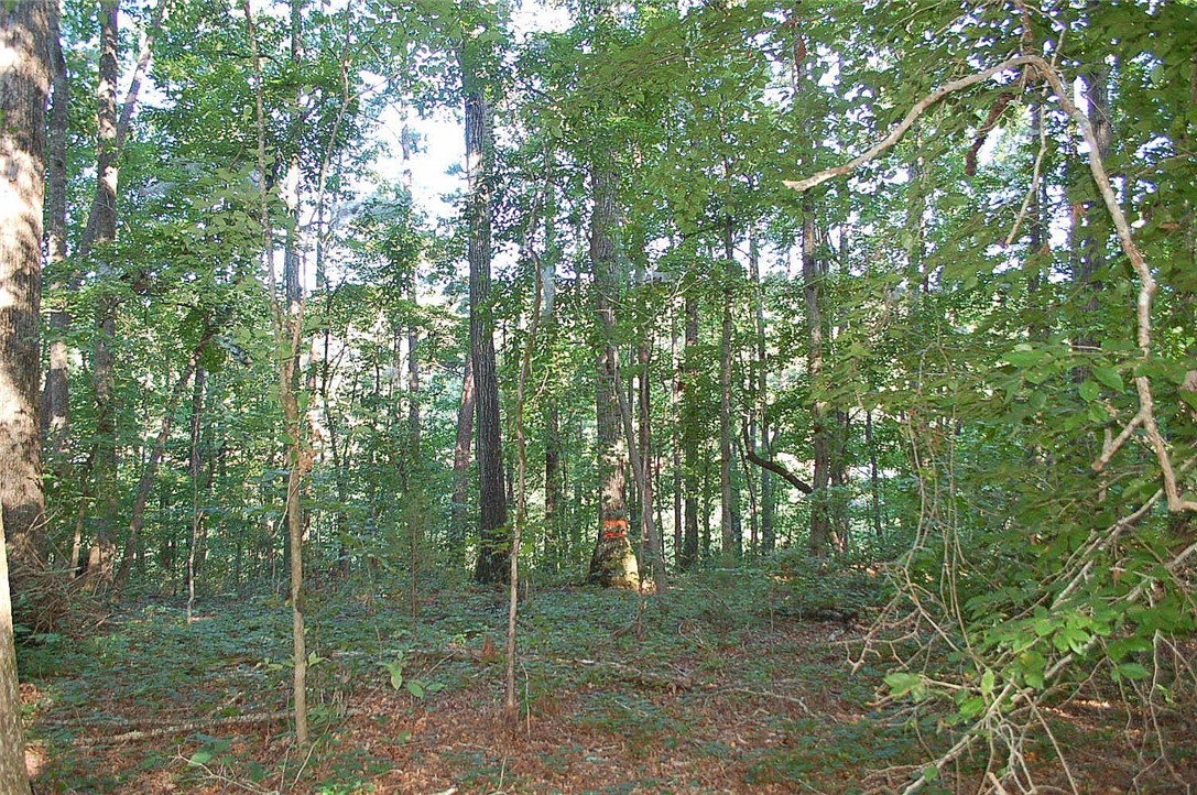 Lot 20 North Shores Road Westminster, SC 29693 - Photo 6 of 8 Gallery Image 6