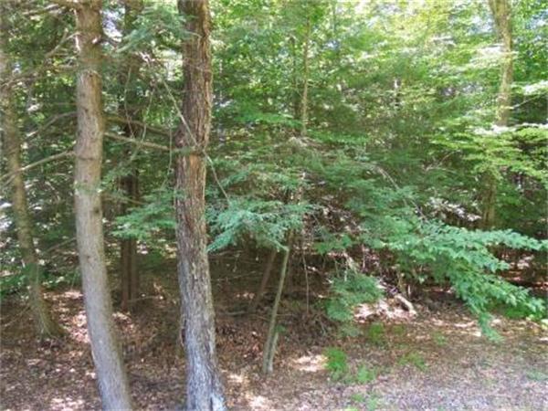 181 South Village Road Tolland, MA 01034 - Photo 16 of 24