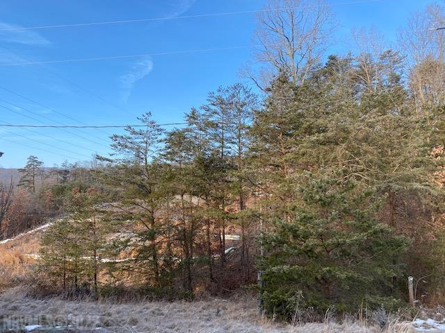 Tbd Flatwoods Road Elliston, VA 24087 - Photo 6 of 13 Gallery Image 6